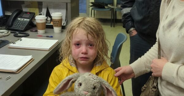 The Night My Little Girl Walked Into A Police Station With Her Rabbit Doll And Told A Detective She Had Done Something Bad